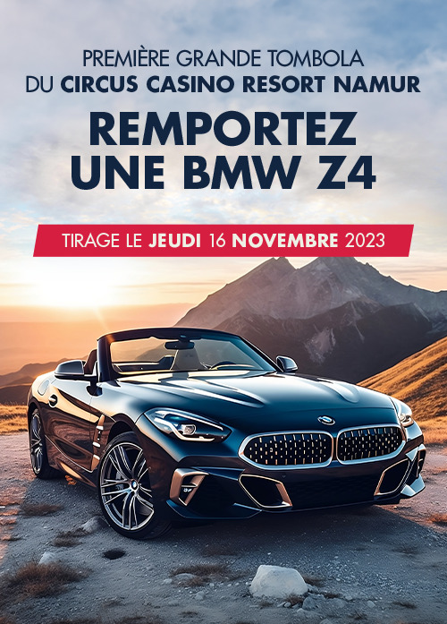 Tombola Z4 - affiche